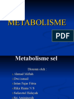 metabolisme ppt