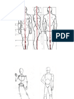 Esqueleto y Proporciones