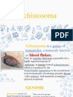 BEDECIR - Schistosoma
