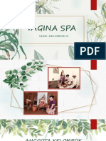 Vagina Spa