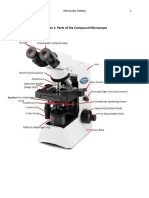 Activity 1: Parts of The Compound Microscope: MLAB 2360 Clinical I Microscopy Training 1