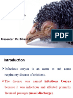 Infectious Coryza: Presenter: Dr. Bikash Puri
