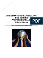 Guide Pratique D'application - Audit Et Commissariat Aux Comptes PDF