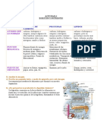 Digestion y Nutrientes