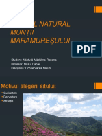 PARCUL NATURAL MUNȚII MARAMUREȘULUI.pptx