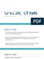 Special Stains PDF