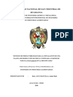 Estudio de prefactibilidad para planta de fruta confitada a partir de papaya en Lima