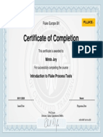 Certificate of Completion: Minto Joy