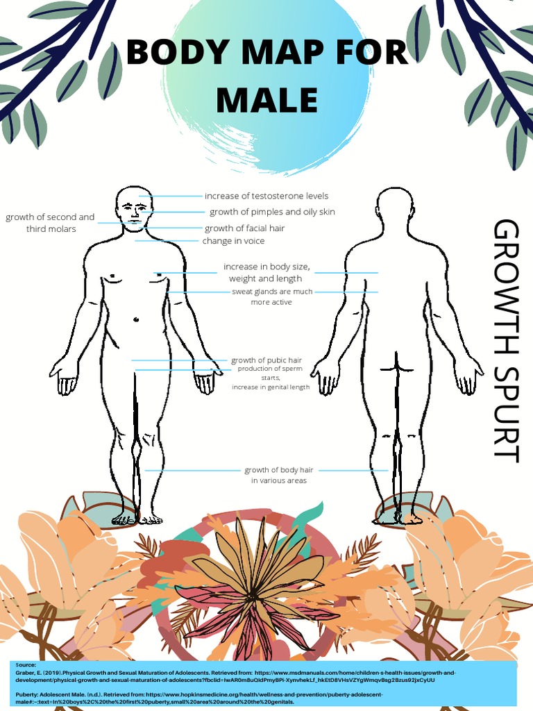 Puberty Changes for Teens | PDF | Puberty | Sex, image size:768x1024