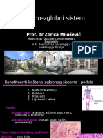 Kostano-Zglobni Sitem I 2018