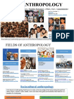 The Anthropology: Del griego ἄνθρωπος ánthrōpos, «hombre (humano) », y λόγος, logos, «conocimiento»