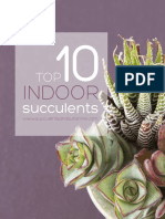 Top 10 Indoor Succulents