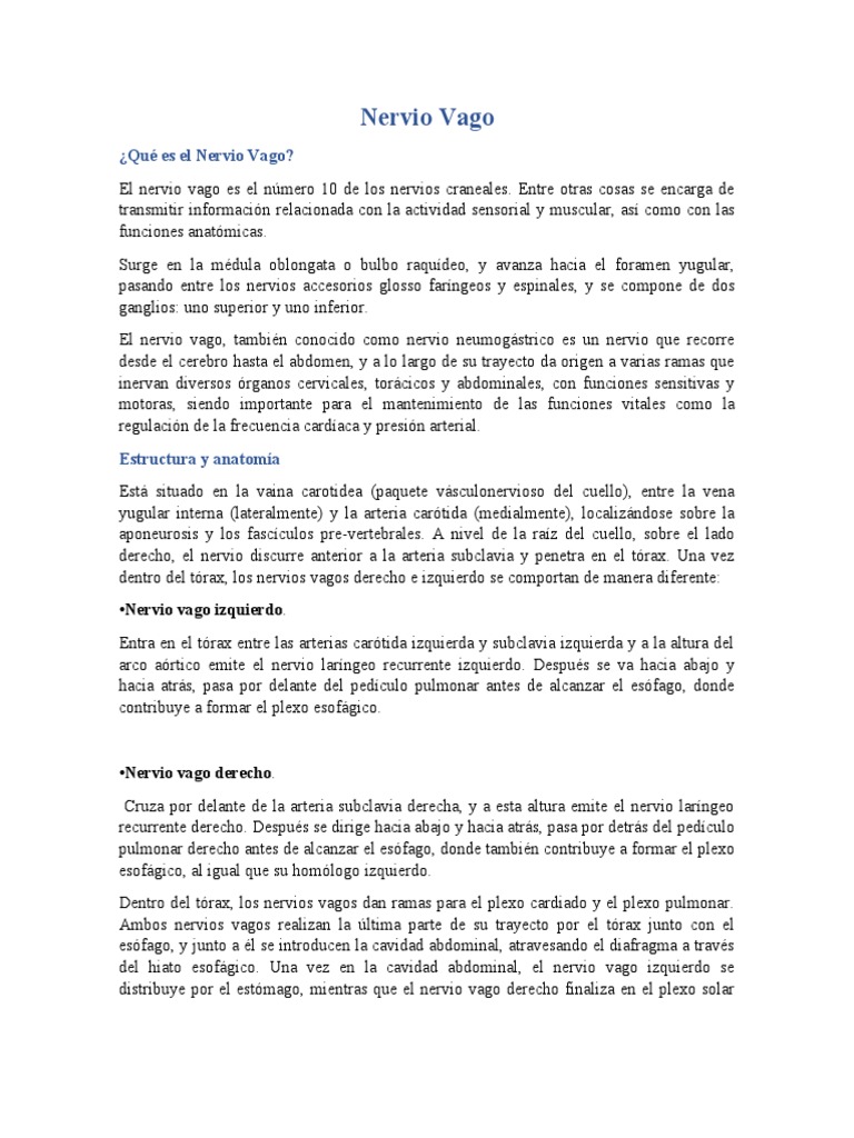 Nervio Vago Pdf Nervio Vago Anatomía Humana