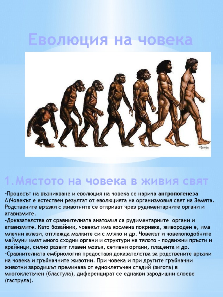 Еволюция на човека | PDF