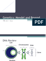 Mendelian Genetics (2018 Mod)
