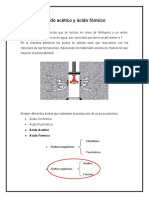 Informe de acido Acetico y formico.docx