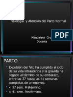 Parto Normal - Parte 1