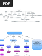 Conocer El Cerebro para Vivir Mejor-Fusionado