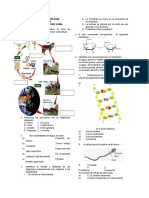 Círculo 2 - Biologia - Sonia Camarena Condor 2019