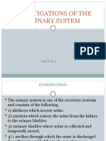 Investigations of The Urinary System: Group 4