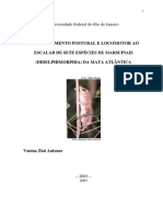 Dissertação 2003 - Comportamento postural e locomotor ao escalar de sete espécies de marsupiais da Mata Atlântica- Vanina Antunes.pdf
