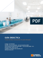 Programa Formativo Psicoterapia 2 PDF