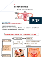 Clase N°7: Sistema Reproductor Femenino