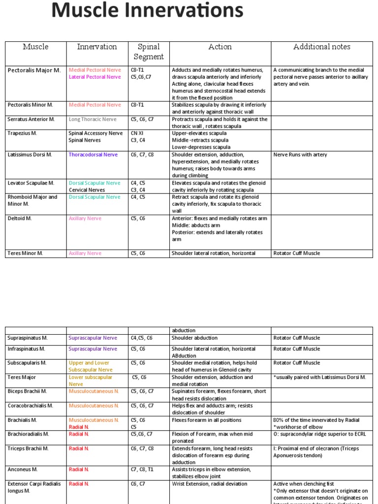 Muscle Innervation Spinal Segment Action Additional Notes: Pectoralis ...