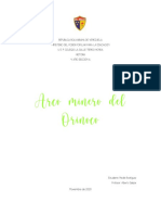 Arco Minero Del Orinoco, PDF