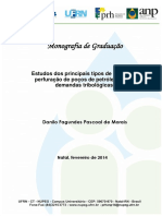 danilofagundesmono.pdf