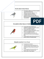 Datos Curiosos