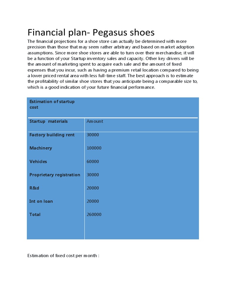 Pegasus Shoe Financial Plan Analysis PDF Pricing Retail