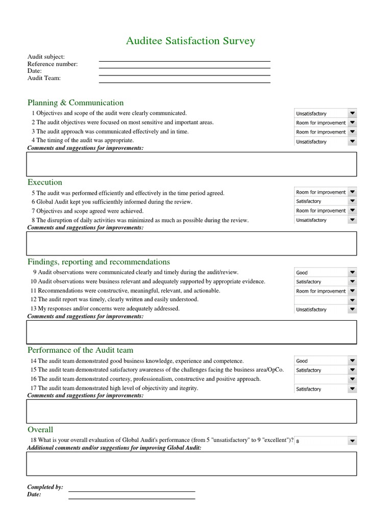 Audit Auditee Satisfaction Survey | PDF