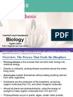 AP BIO Chapter 10 Photosynthesis.ppt