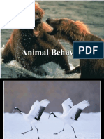 AP BIO Chapter 51 Animal Behavior.ppt