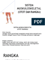 7 Muskuloskeletal (otot dan Rangka).pdf