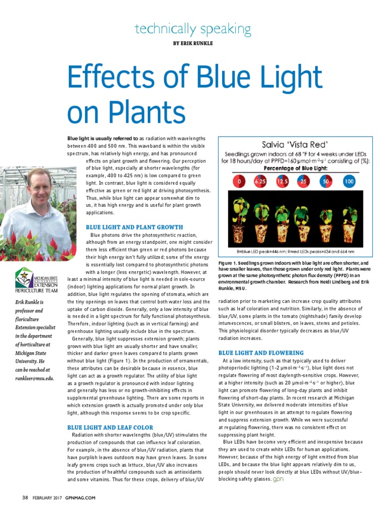 Effects of Blue Light On Plants: Technically Speaking | PDF ...