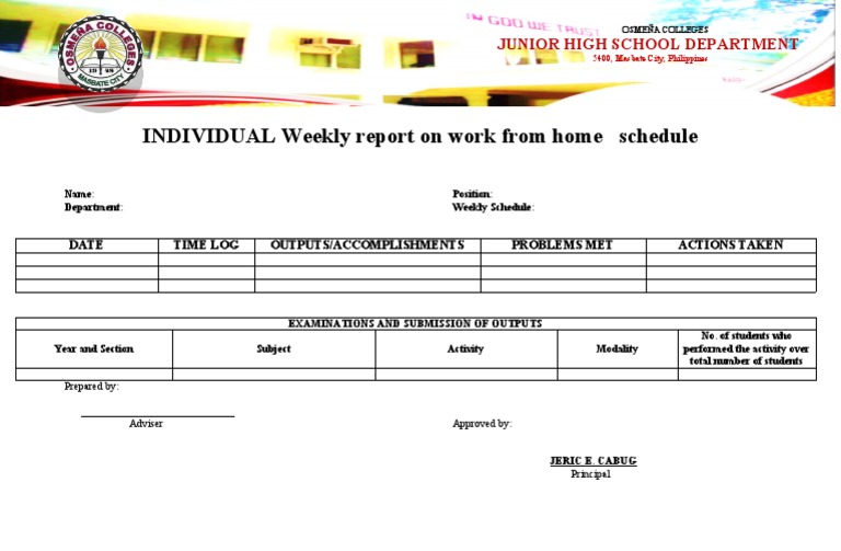 Weekly Skeletal Report Format | PDF