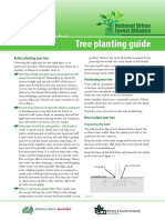 Tree planting guide: How to choose and care for your new tree