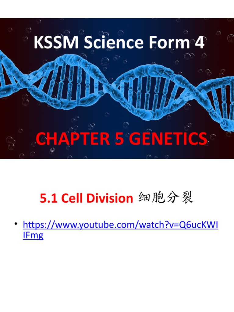 F4 Chapter 5 KSSM SCIENCE DLP Edited | PDF | Meiosis | Dominance (Genetics)