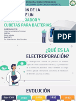 Elaboración de Maqueta de Un Electroporador y Cubeta para Bacterias