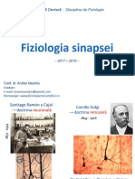 2.fiziologia Sinapsei.2017 For PDF PDF