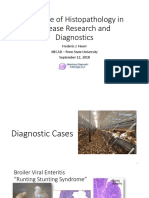 The Role of Histopathology in Disease Research and Diagnostics