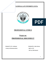 Professional Ethic 1515 PDF