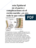 Anestesia Epidural Durante El Parto y Complicaciones en El Recién Nacido