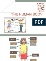 The Human Body: Paula Almeida
