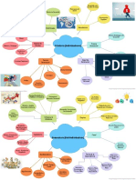 Mapas Mentales Ortodoxia y Heterodoxia Economica PDF