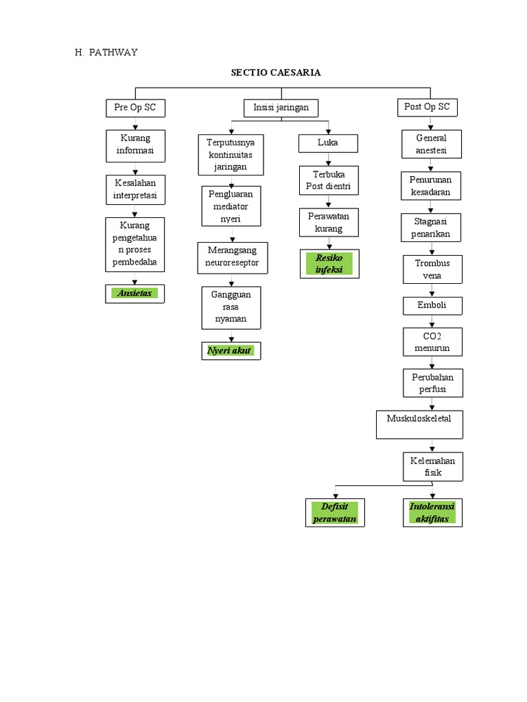 Pathway Perawatan Pasca Sectio Caesarea | PDF