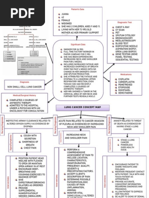 Lung Cancer Concept Map-group 2