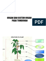 Farmakog organ tumbuhan 2016(1).pptx